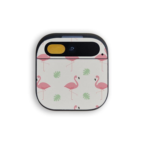 Flamingo Flock Sale