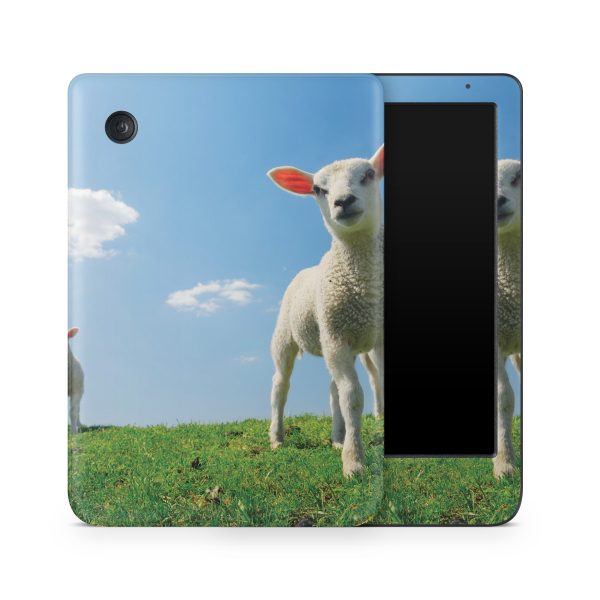 Lambs Fashion - Image 2