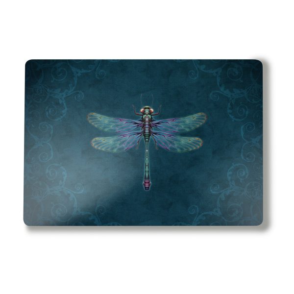Vibrant Dragonfly Supply