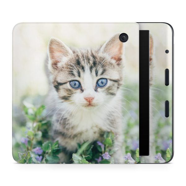 Blue Eyed Kitten Online - Image 2