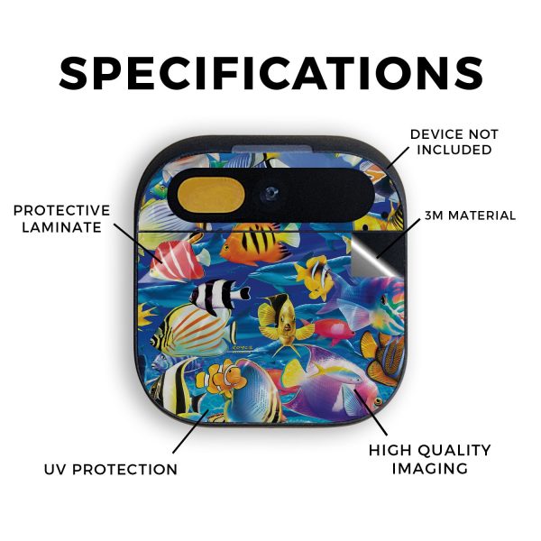 Tropical Fish Online Hot Sale - Image 2