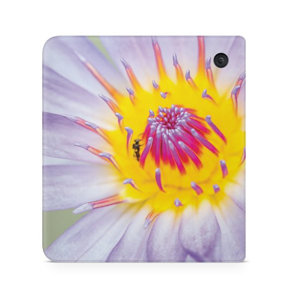 Lotus Flower For Sale