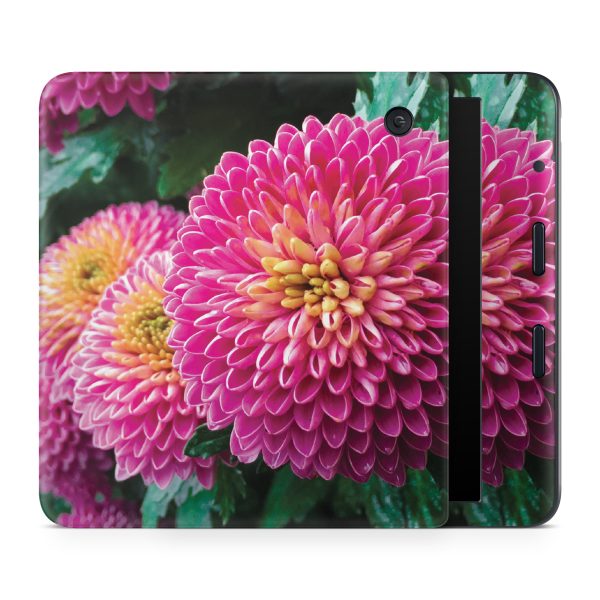 Chrysanthemum Sale - Image 2