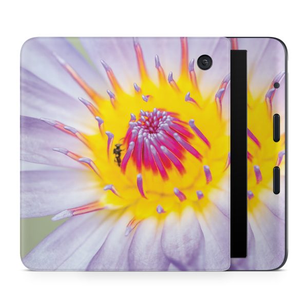 Lotus Flower For Sale - Image 2