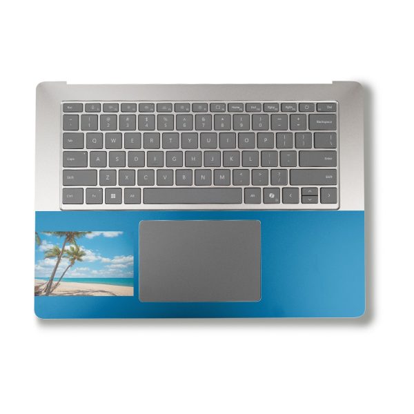 Palm Beach Hot on Sale - Image 3