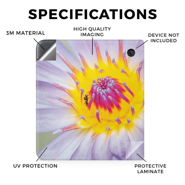 Lotus Flower For Sale - Image 3