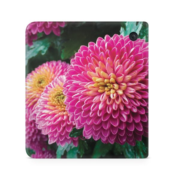 Chrysanthemum Sale