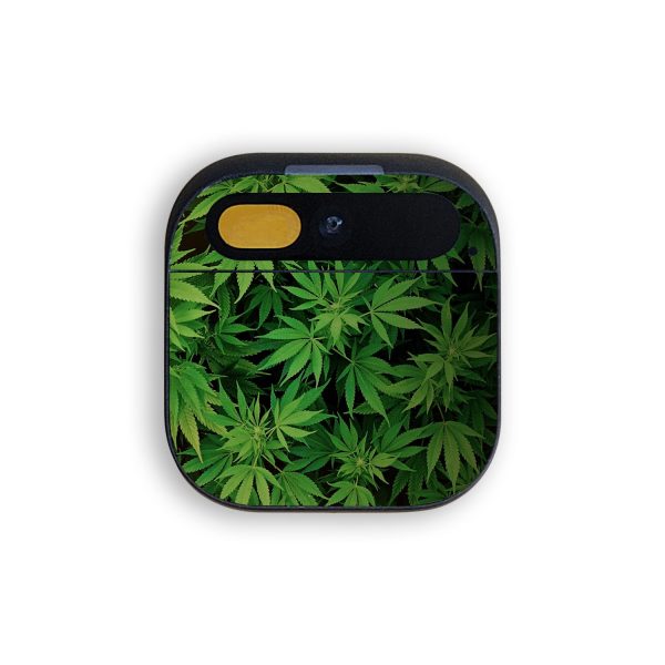 Weed Online