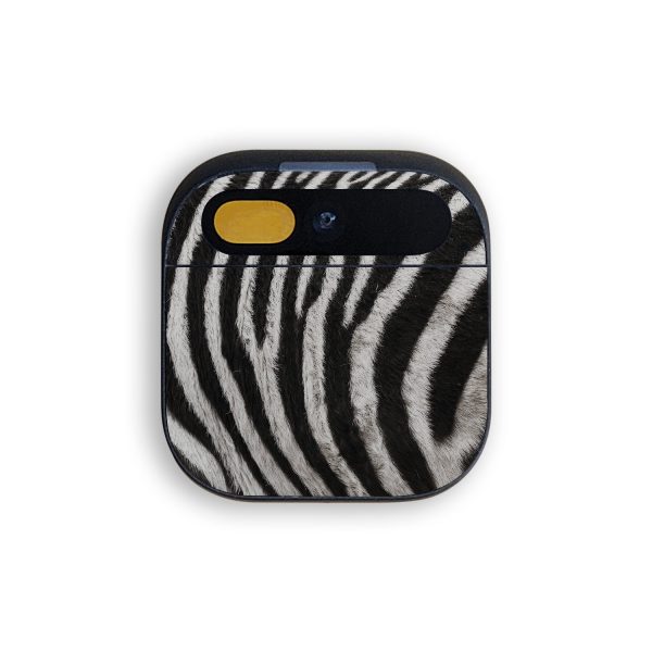 Zebra Closeup Fashion