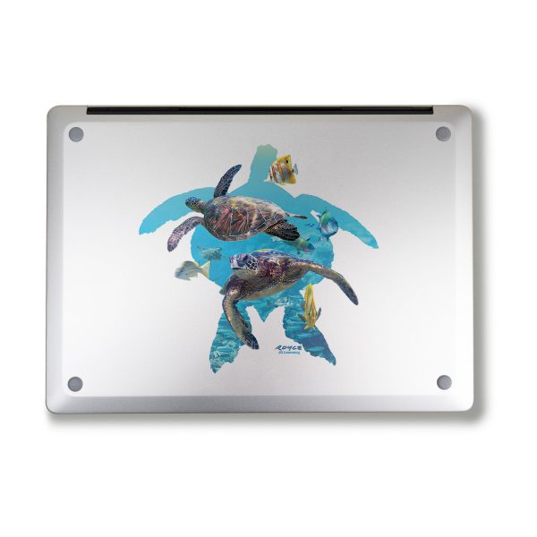 Turtly Cool Online now - Image 4