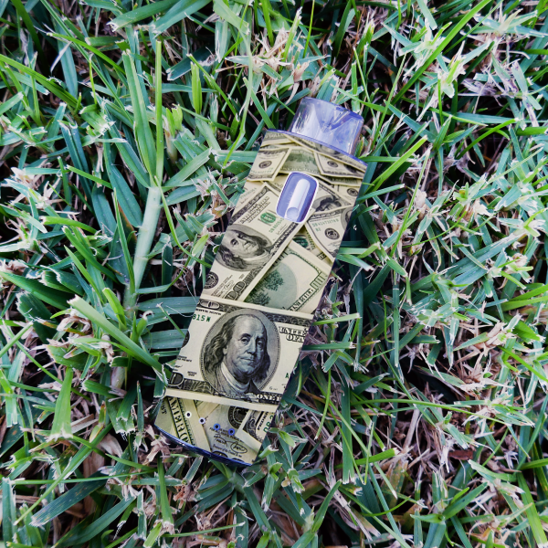 Cash Money | Skin For Innokin Endura M18 For Discount - Image 2