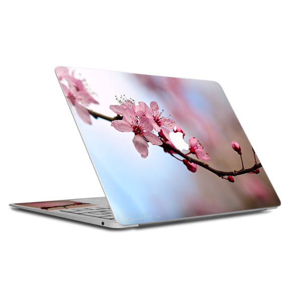 Cherry Blossoms | Skin For Macbook Air 13 inch Retina | fits models A3184, A1932 For Discount