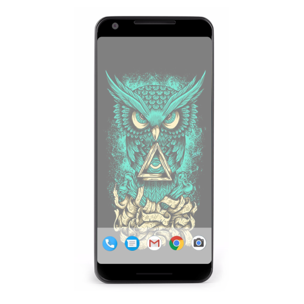 Awesome Owl Evil | Skin For Google Pixel 2 Online now - Image 2