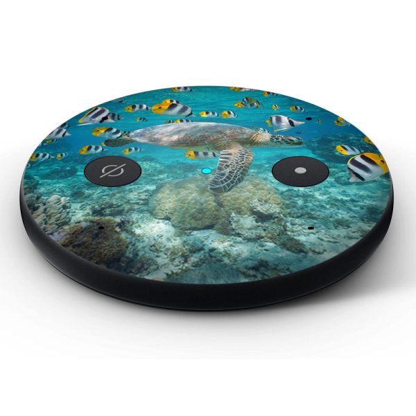 Sea Turtle with Sickle Butterflyfish | Skin For Amazon Echo Input Fashion