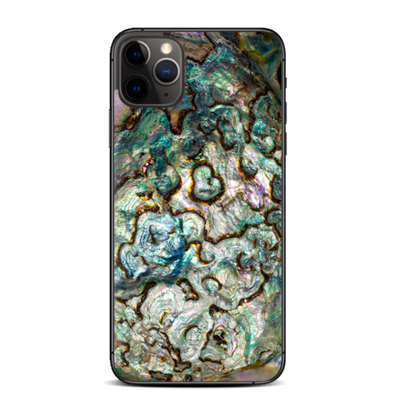 Abalone Shell Gold Underwater | Skin For Apple iPhone 11 Pro Online now