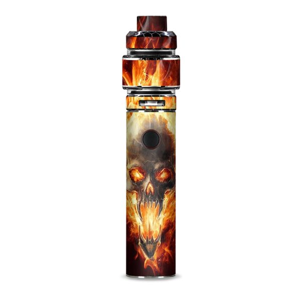 Fire Skull In Flames Smok Resa Stick Kit Skin Hot on Sale
