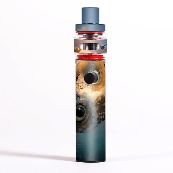 Funny Owl, Cute Owl Smok Pen 22 Light Edition Skin Discount