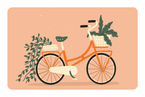 Bicycle Supply
