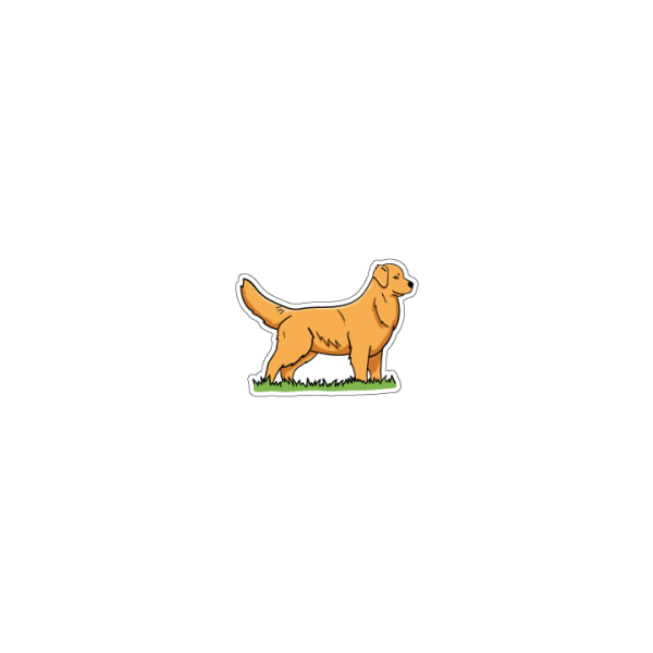 Golden Retriever Fashion - Image 2