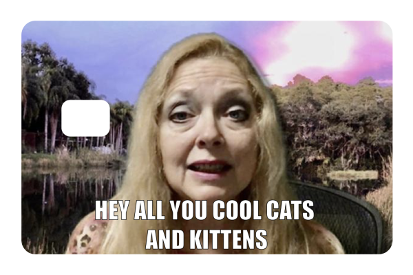 Cool Cats and Kittens For Cheap - Image 3