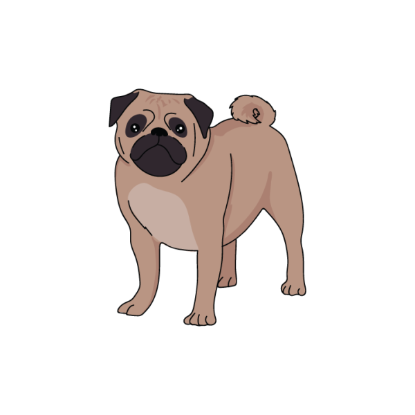 Pug Online now