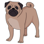 Pug Online now - Image 3