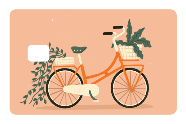 Bicycle Supply - Image 3