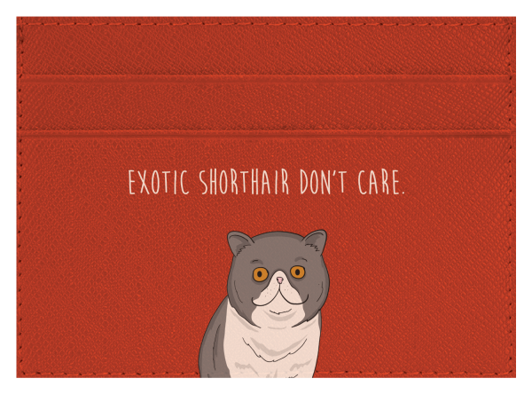 Exotic Shorthair don t care Online Hot Sale - Image 5