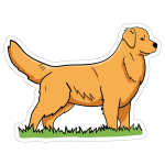 Golden Retriever Fashion - Image 3