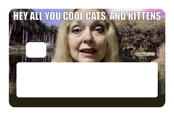 Cool Cats and Kittens For Cheap - Image 5
