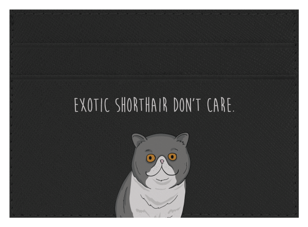 Exotic Shorthair don t care Online Hot Sale - Image 3