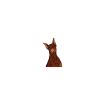 Dobermann Online Sale - Image 2