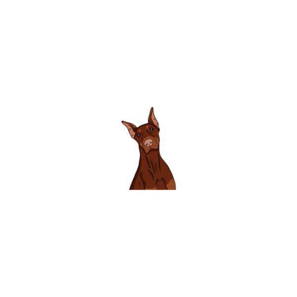 Dobermann Online Sale - Image 2