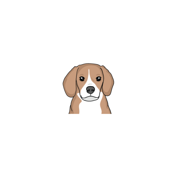Beagle Discount - Image 2