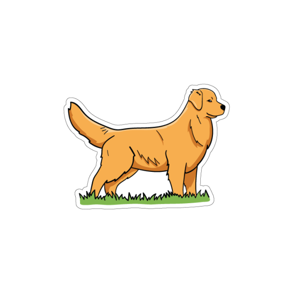 Golden Retriever Fashion