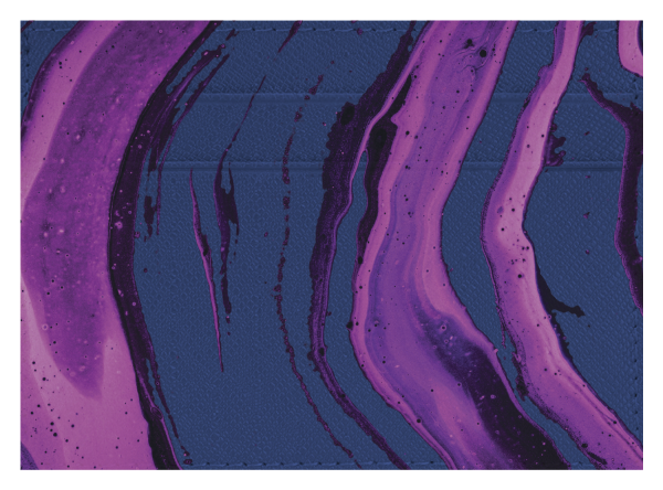 Purple Paint Online now
