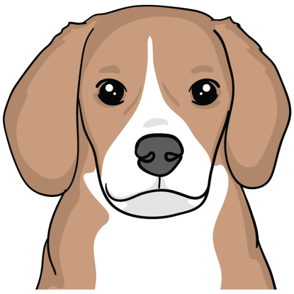 Beagle Discount - Image 3